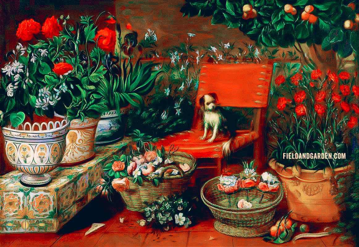 'Garden View with a Dog,' 1660s
by Tomás Yepes (1595 – 1674).
Visit FieldandGarden.com to view more #vintagepaintings.
::::::::::::::::
#arthistory #fieldandgarden #flowersinart #flowerpainting #gardensinart #gardenscene #gardenpainting #vintageart