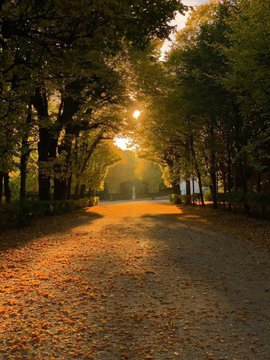 joey__joey86's tweet image. Life is like fireworks, it is impossible to hang in the sky forever; as long as it has been splendid, it will not be in vain. Good morning!🌞❤️