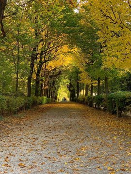 joey__joey86's tweet image. Life is like fireworks, it is impossible to hang in the sky forever; as long as it has been splendid, it will not be in vain. Good morning!🌞❤️