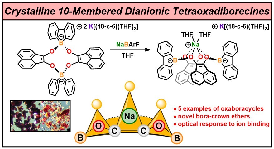 Robert J. Gilliard, Jr. (@rjgilliard) on Twitter photo Our manuscript on the synthesis of dianionic bora-crown ethers from borafluorene monoanion is online <a href="/angew_chem/">Angewandte Chemie</a>! <a href="/kek_kelsie/">Kelsie Wentz</a> isolated borafluorenate-crowns which show unique absorption behaviors based on the position of the metal cation! #maingroup #boron onlinelibrary.wiley.com/doi/10.1002/an… Our manuscript on the synthesis of dianionic bora-crown ethers from borafluorene monoanion is online <a href="/angew_chem/">Angewandte Chemie</a>! <a href="/kek_kelsie/">Kelsie Wentz</a> isolated borafluorenate-crowns which show unique absorption behaviors based on the position of the metal cation! #maingroup #boron onlinelibrary.wiley.com/doi/10.1002/an…