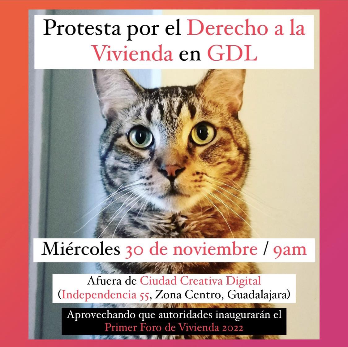 caracol_urbano's tweet photo. No necesitamos "inversiones en rentas de estancia corta", necesitamos vivienda accesible y espacios para habitar. PROTESTA POR EL DERECHO A LA VIVIENDA en #Guadalajara MIÉRCOLES 30nov/ 9 AM afuera de #CiudadCreativaDigital https://t.co/45BoDPI2SF