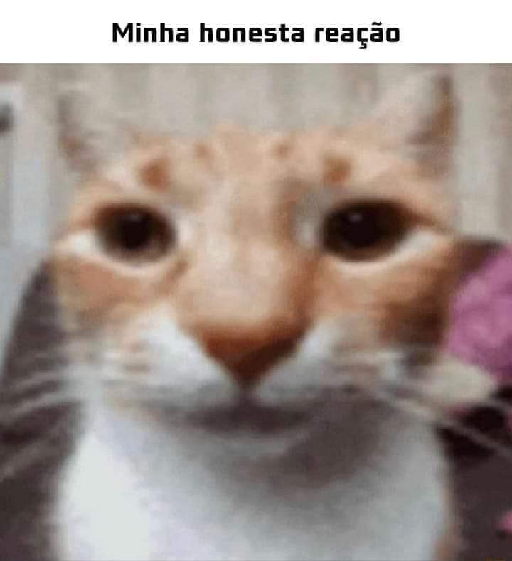 futuranutr's tweet photo. queria me encaixar e fazer amizades aqui no studytwt porém as minhas ideias e convicções não tem nada a ver com o povo daqui,só os estudos mesmo. https://t.co/IQDLrV10YI