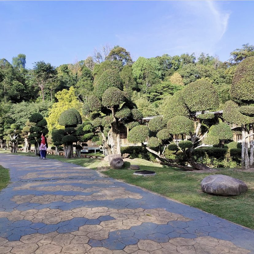 Jomkitamy's tweet photo. 5 taman yang cantik di Lembah Klang! #JomKita  

1. Taman Botani Perdana, KL 

Sumber: heartpatrick, adrianngkc, robxlim, anne_osman https://t.co/IJVq7bM73o