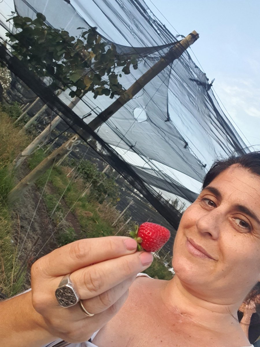 cecifama's tweet photo. una visital paraíso 🍓
establecimiento santa rosa
#bavio https://t.co/kHd9MkJHM4