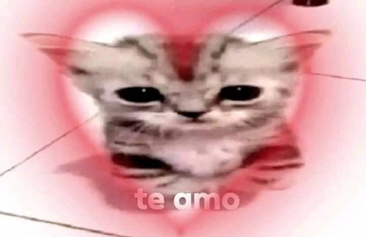 TwoGhostsft91's tweet photo. Yo cuando un extranjero nos llama periqueros por ser colombianos // Yo cuando Harry lo hace https://t.co/nPLkha05C9