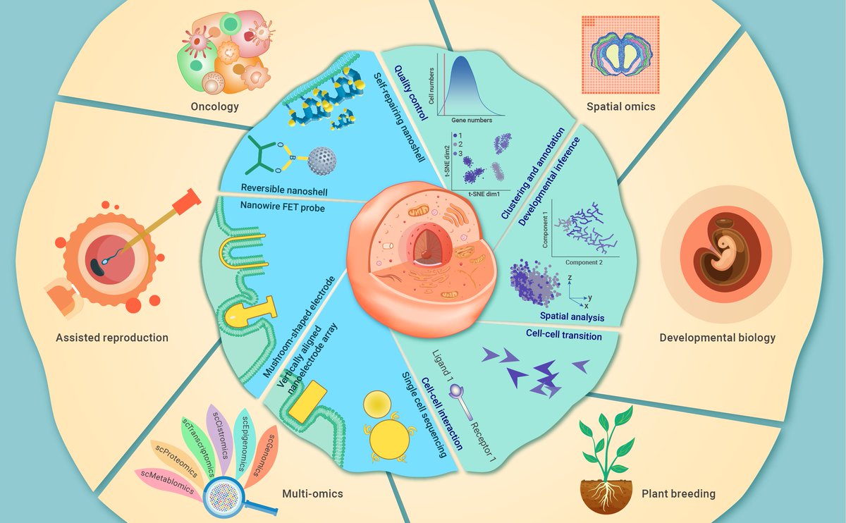 The Innovation: a Cell Press partner journal tweet media