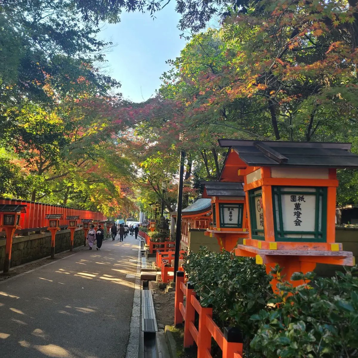 Hanadesu2020's tweet photo. 京都も紅葉が綺麗でした🍁 https://t.co/fHDXFgUpkI