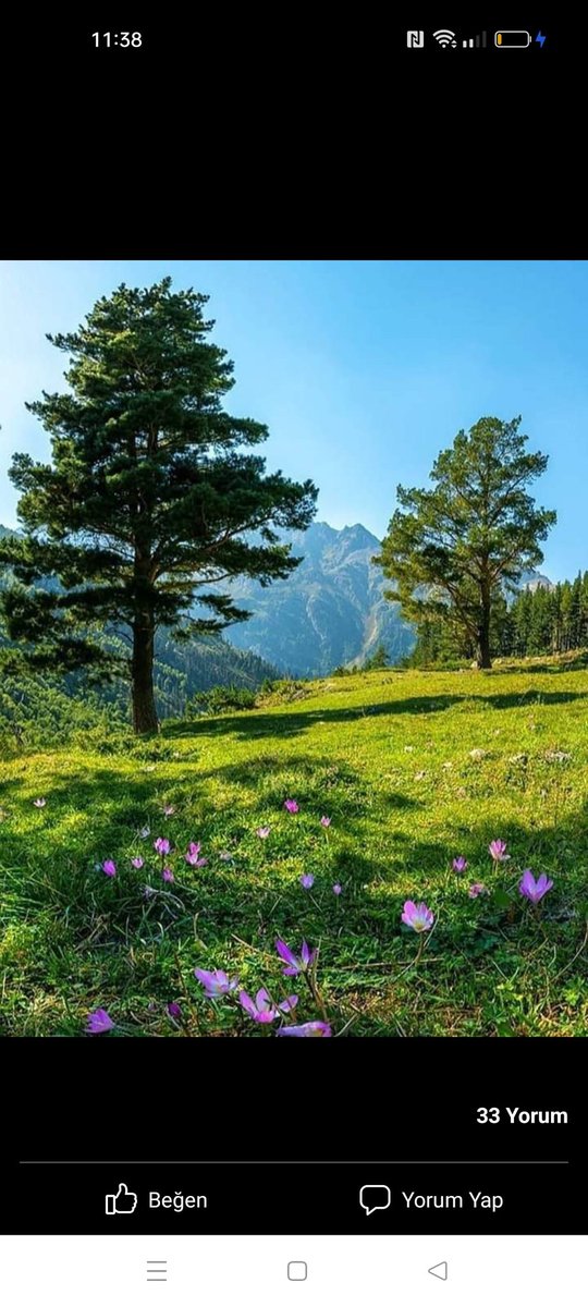 #Günaydin 
Güzel bir gün diliyorum
Güzel insanlara