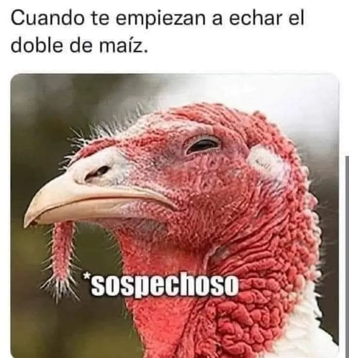 IsraelH16704079's tweet photo. JAJAJAJAJAJAJA, YA SE BIENEN LAS EPOCAS NAVIDEÑAS.
Esos tiempos, la verdad me encantan, la familia se junta, todos convivimos juntos, los primos nos reunimos de nuevo, ya que la familia, está en distintas partes, todos nos reunimos en un punto específicos.Faltan unos. @ryshardsc https://t.co/nQibOm1vav