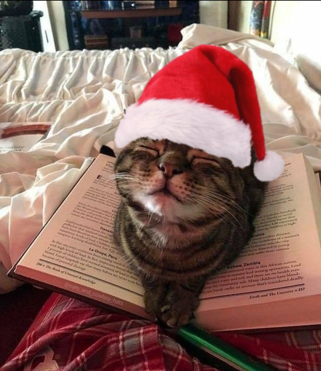 CowboyCats's tweet photo. https://t.co/F0NZYFIObb