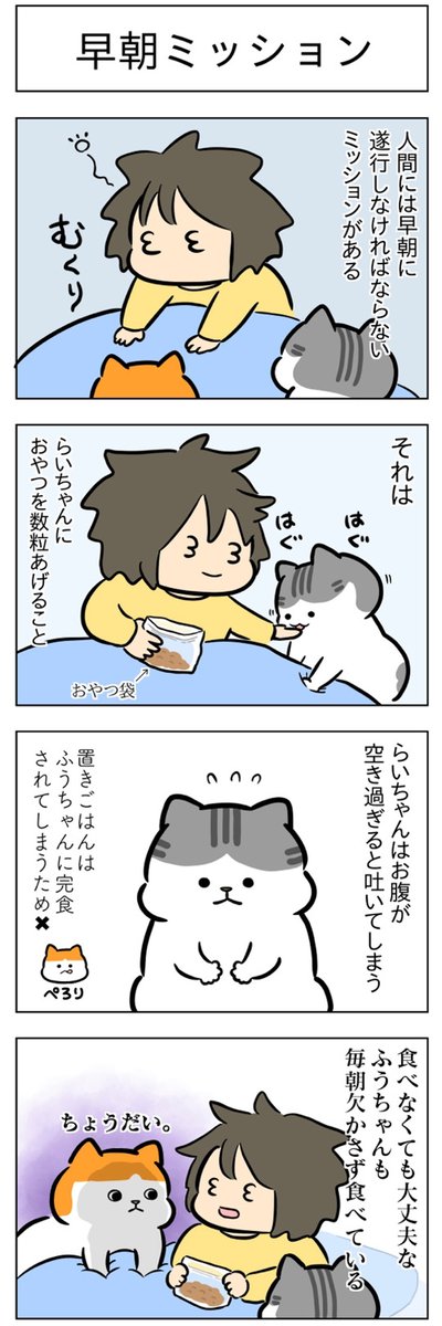 起きて!・早朝ミッション│フェリシモ猫部 https://t.co/2OE8YoBSIm 