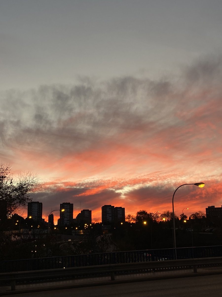 Moonsy13L28D tweet media