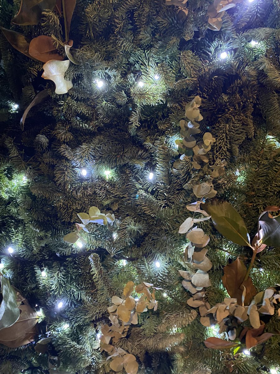 Moonsy13L28D tweet media