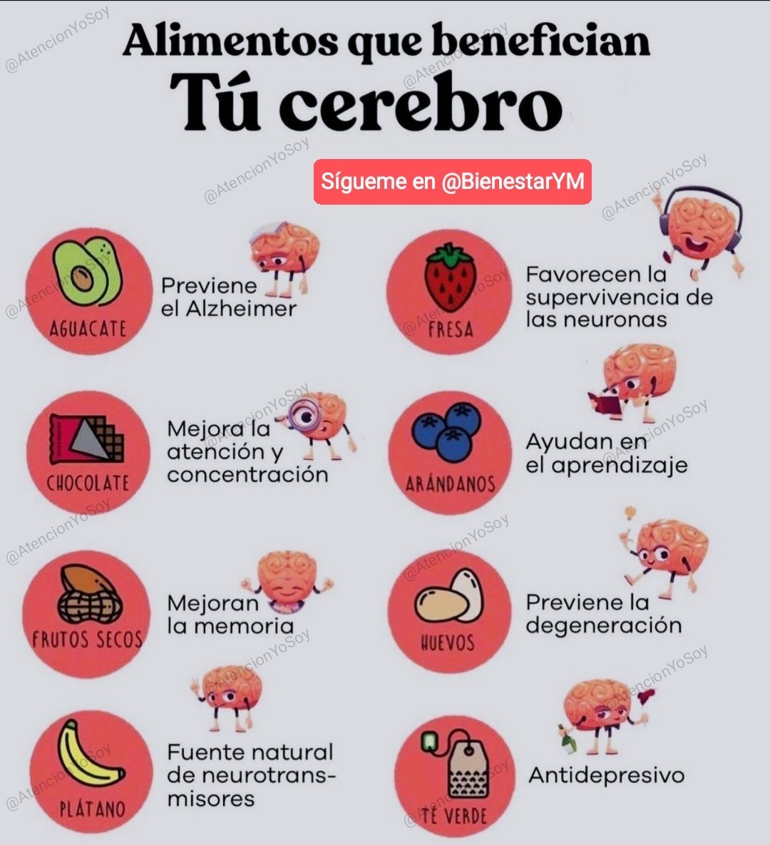 BienestarYM's tweet photo. ✨💫🌿☀️Tip Saludable☀️🌿💫✨

Alimentos que benefician tu cerebro.

*Regálame un Hola si me lees* https://t.co/G6rNq6h0A3