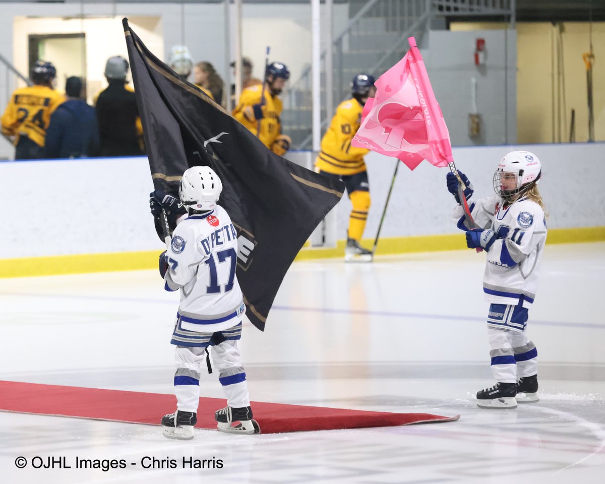chriscapturedit's tweet photo. MILTON, ON - @OJHLCougars vs @MenaceOJHL - 2-0 Menace after 1! - © OJHL Images Chris Harris @ojhlofficial #leagueofchoice #Menacing #FearTheDarkness #Pinkintherink #CougarCountry https://t.co/QcZEtu1nzF