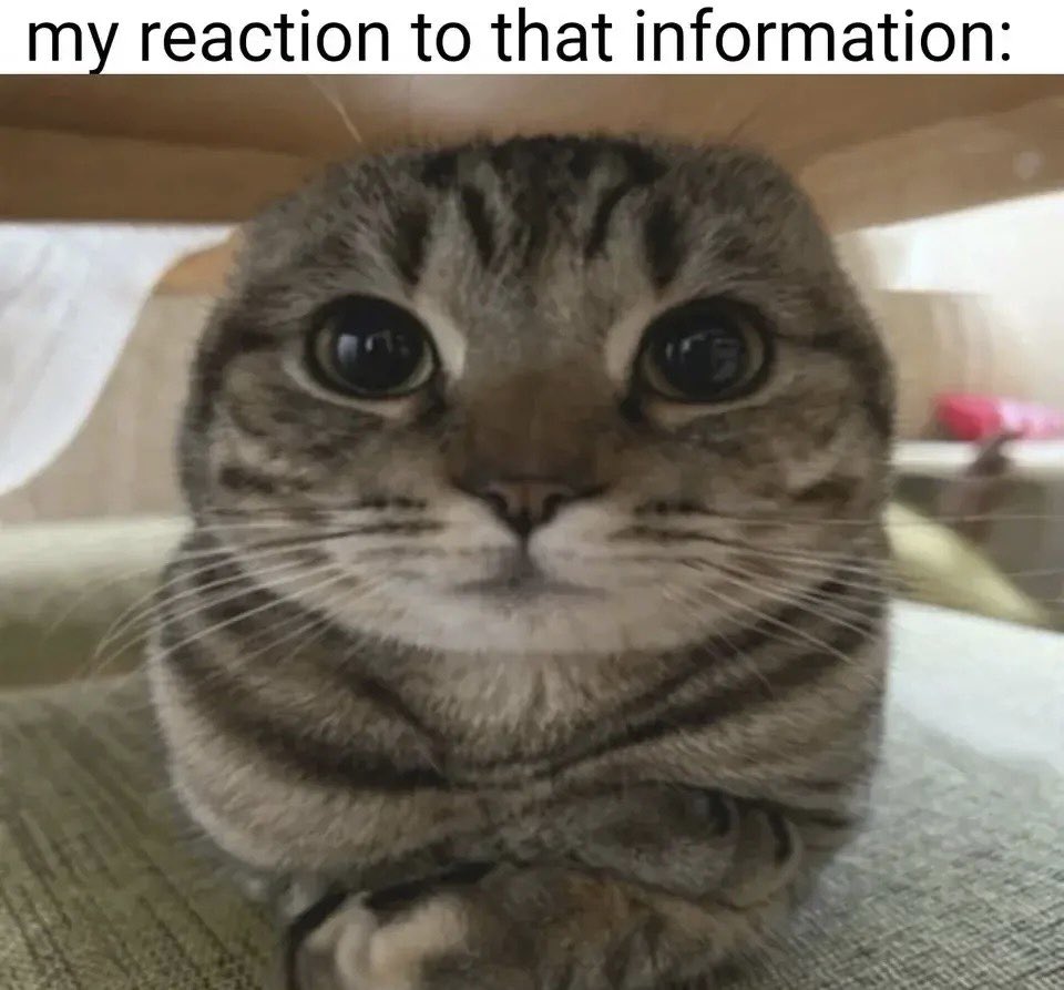 LilithLovett's tweet image. I literally condemned kid drags in my last podcast my dude, you don't know what you're talking about. I've also condemned Desmond's parents years ago, I'm blocked by them on Twitter.

Curious how you've been strangely quiet about child beauty pageants and predator priests hmmm 🤔