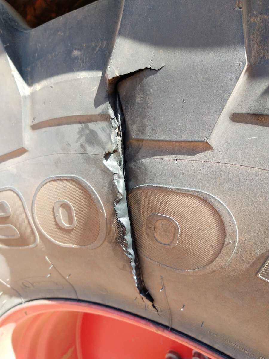 Simon Dixon tweet media