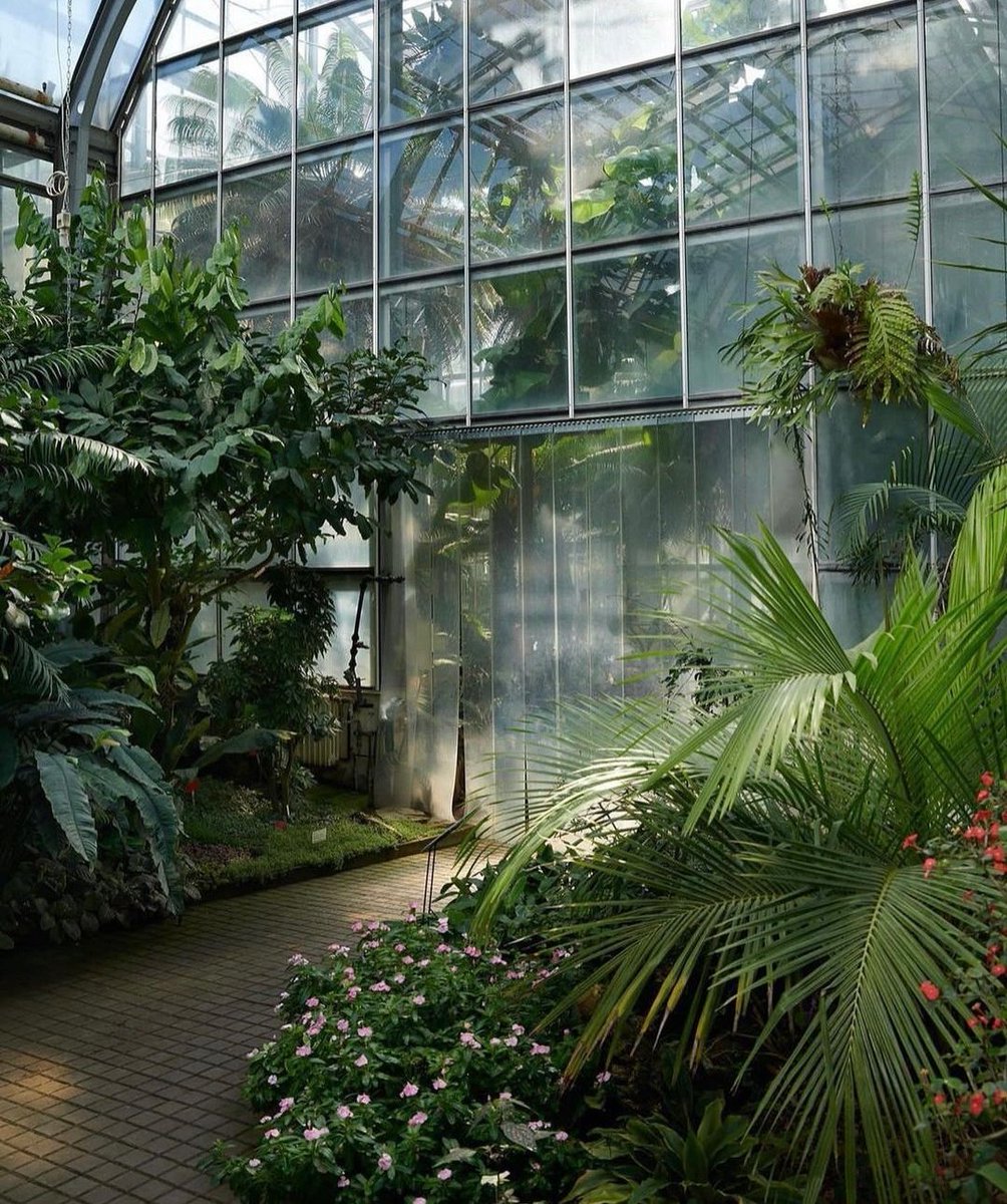 Houseplant Hobbyist tweet media