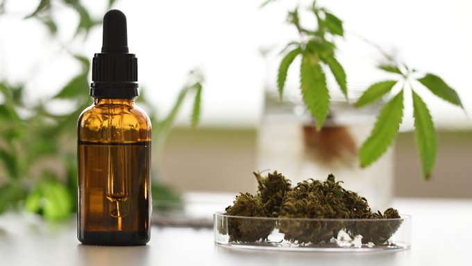 Major Bev Supplier pulling out of CBD? #cannabis #cannabiscommunity #weed #marijuana #thc #CBD #cannabisculture <a href="/cbt_bot/">CBT役に立つかもしれない情報bot</a> <a href="/TheWeedSpot_/">WeedBOT</a>
