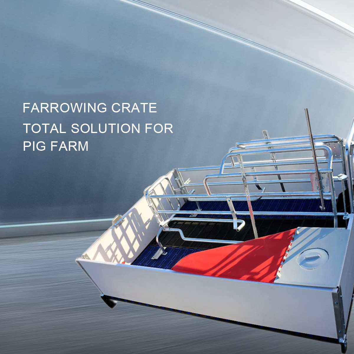 QuanmuChina's tweet photo. #Pig farm farrowing crate #farrowing pen #sow  farrowing crate
🥳🙌
👉Email: info@pig-equipment.com 
🐖🐖🐖 https://t.co/ttqncFRH4U