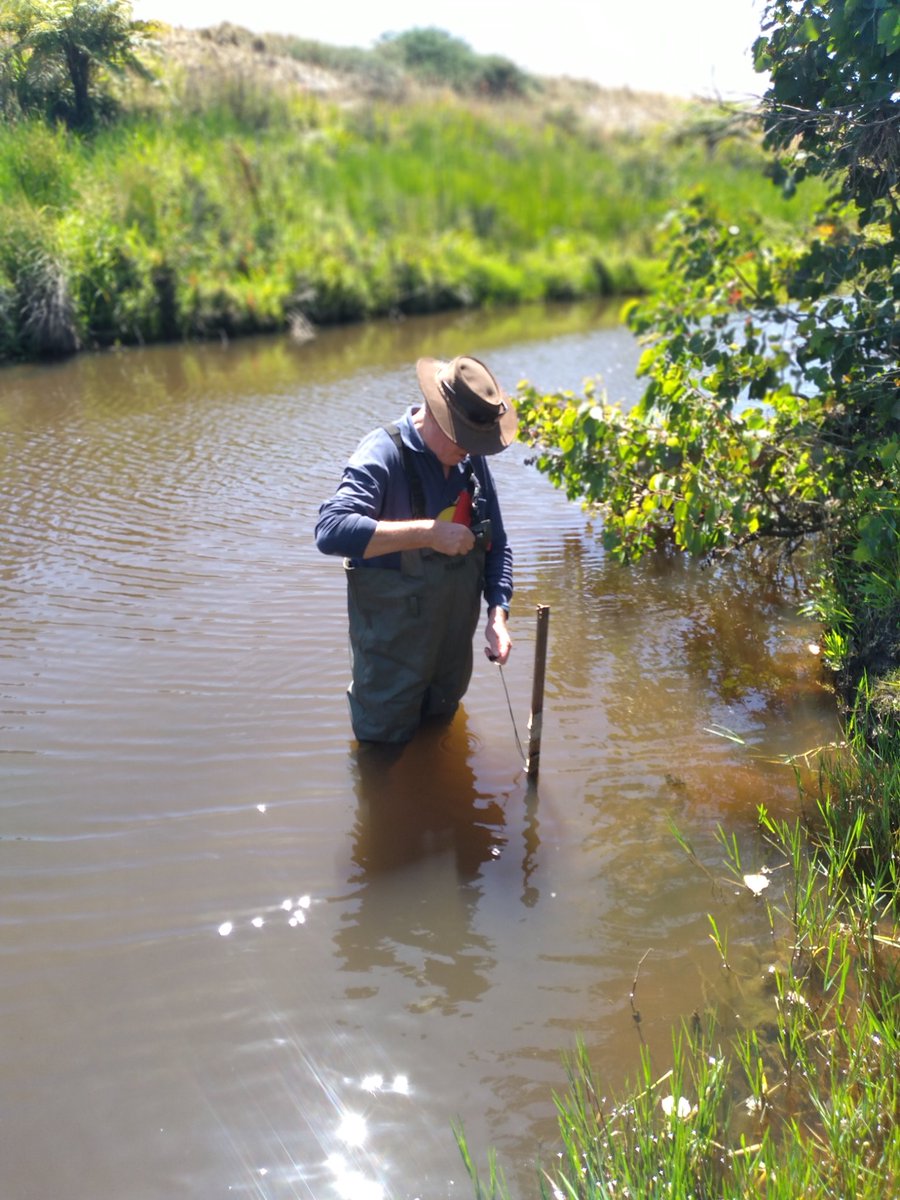 Harvey River Restoration Taskforce tweet media