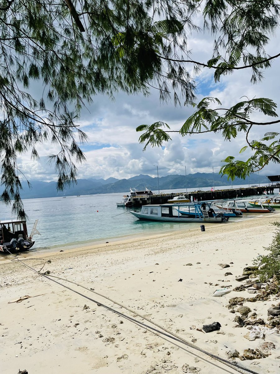 mayroxa's tweet photo. D3 Gili Trawangan https://t.co/zOEGNnT0KH