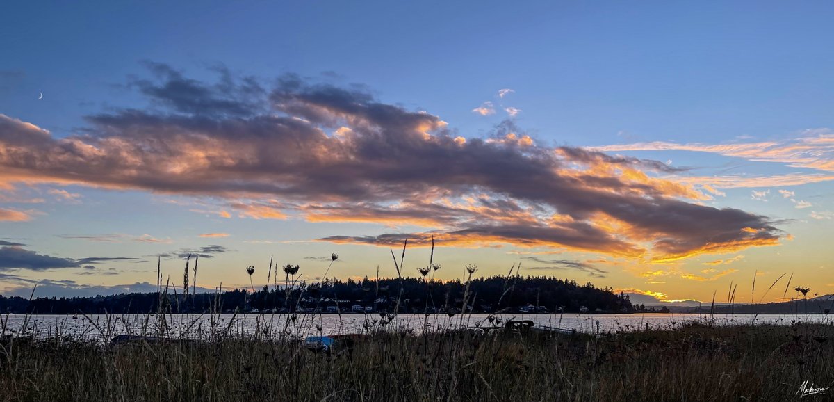 mackenzieimages's tweet photo. #sunset #sunsetphotography #PhotoOfTheDay #Seattle #komonews Enchanting sunset tonight on Lytle Beach, Bainbridge Island, WA with the Waxing Crescent moon adding to the magic of the moment.  So grateful for these precious moments...!!! https://t.co/sV876jVT2u