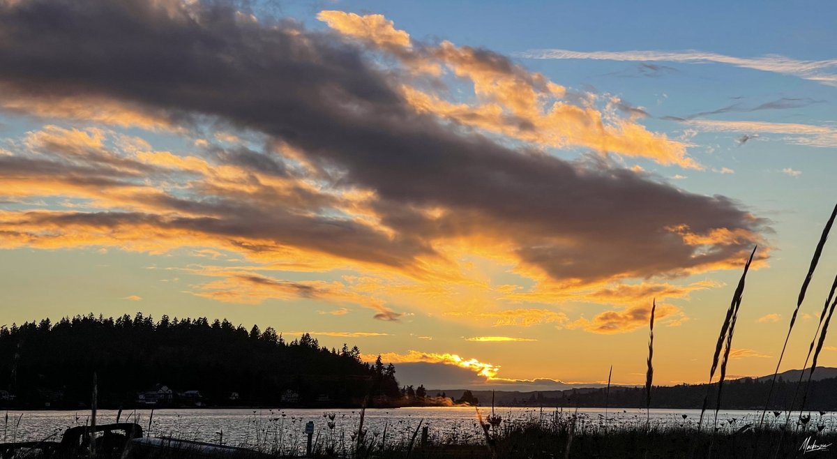 mackenzieimages's tweet photo. #sunset #sunsetphotography #PhotoOfTheDay #Seattle #komonews Enchanting sunset tonight on Lytle Beach, Bainbridge Island, WA with the Waxing Crescent moon adding to the magic of the moment.  So grateful for these precious moments...!!! https://t.co/sV876jVT2u