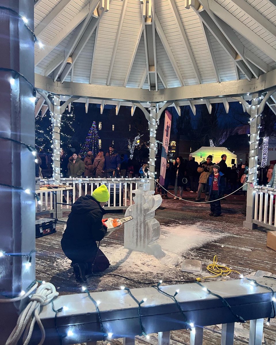 HMcPhersonNDP's tweet photo. Such fun at the @oldstrathcona #winterwhytelightup last night! Thank you to all the organizers and volunteers who made it such a special evening for our community! https://t.co/E5vUxlVoSq