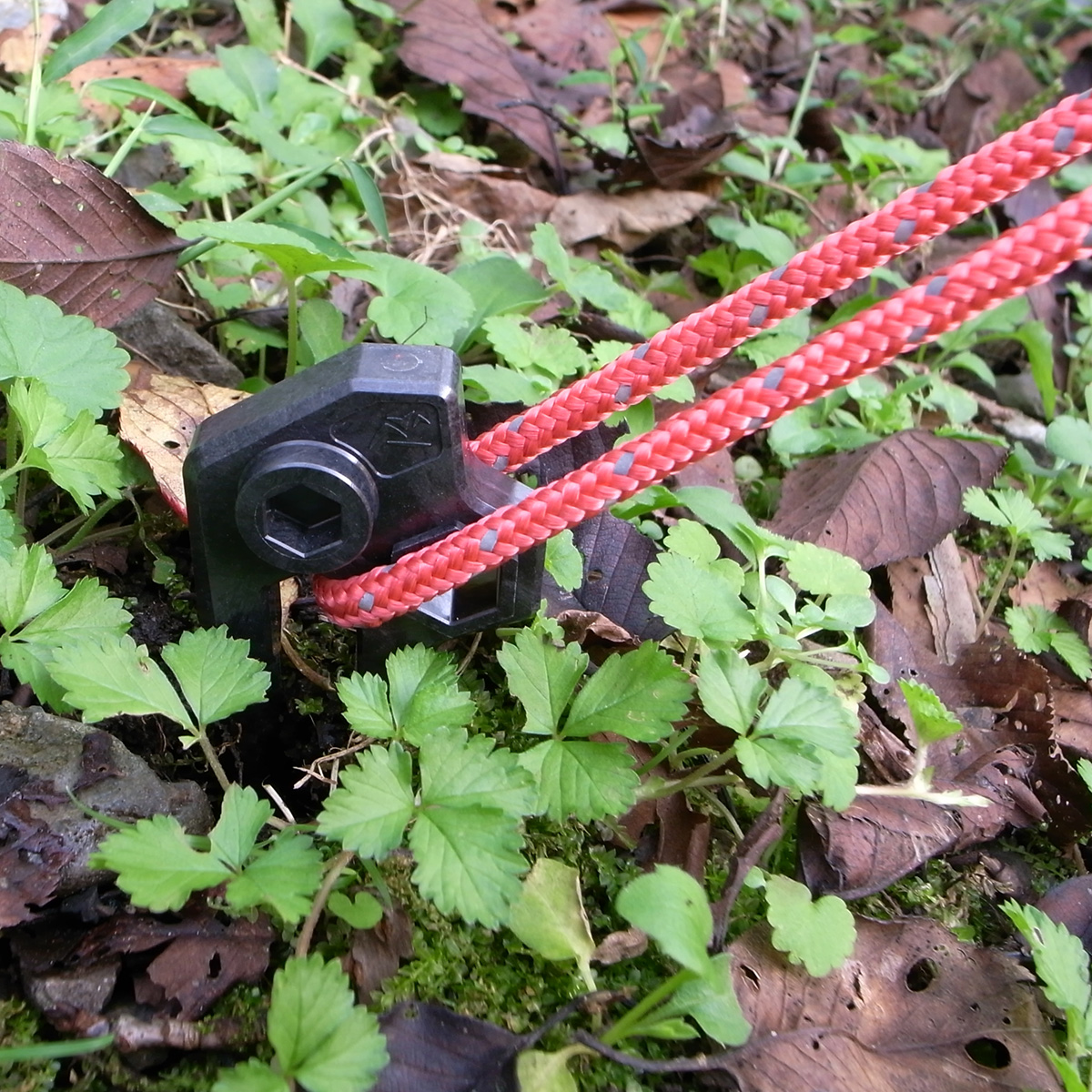 df_moto's tweet photo. MIGRATRAIL(ミグラトレイル)より、キャンプ用超軽量ペグ登場。ペグとしての機能に加え、六角レンチとして使用可能。高精度かつ、高機能の日本製ギアは、旅の利便性と機動性を上げる。
https://t.co/J4Eyw7UrFY
#ペグ #炭素繊維強化プラスチック #cfrtp https://t.co/mi6aLvn80P