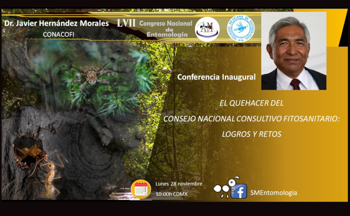 SEntomologia's tweet photo. Cordial invitaciòn conferencial inaugural
"EL QUEHACER DEL CONSEJO NACIONAL CONSULTIVO FITOSANITARIO: 
LOGROS Y RETOS"
Dr. Javier Hernández Morales
CONACOFI
https://t.co/IuI3DX3LKT
🗓luneas 28 de noviembre 
🕰10:00h CDMX
@conacofi https://t.co/IhvyUs8fi5