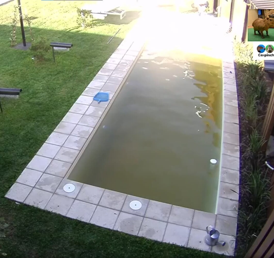 LeoFX912's tweet photo. Ahí adentro más que mear, se debe haber cagado el croto de Thiago, mirá ese color, ni en el riachuelo cerca a la Abandonera... #GH22 #GranHermano #GH2022 #Alfa #Alfareta #Alfaneta #LaAlfaloneta #Tachero #Diputada #Diputoda #Frodo #Agustin #Coty #Thiago #ThiagoGh #tini #Frodoneta https://t.co/ikAb0SKcaP