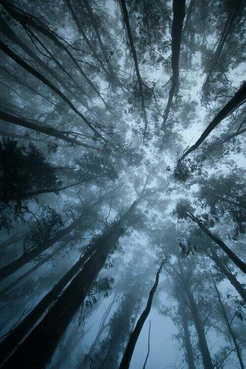 EllaWilss's tweet photo. 🌙
As I look upward, my #Twitterlings, I truly realize how insignificant but mighty I am. https://t.co/6fkCEXhljv