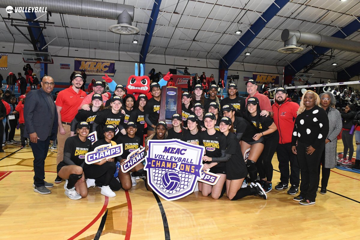 NCAA Women's Volleyball tweet media