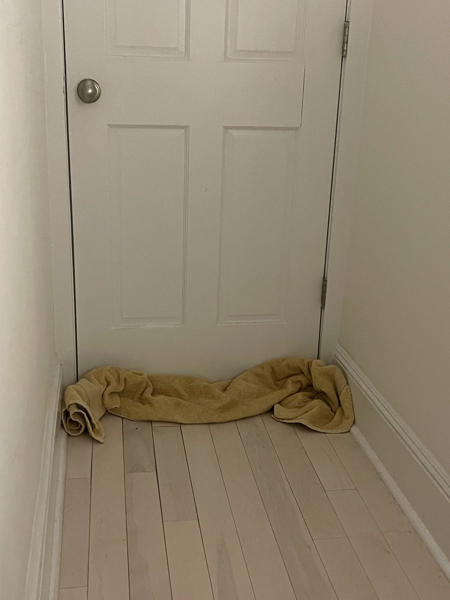 Just saw something scurry across my Brooklyn apartment floor… and I don’t own a pet.😳

Only thing I could do…lock myself in my bedroom and secure all openings. HELP!!!