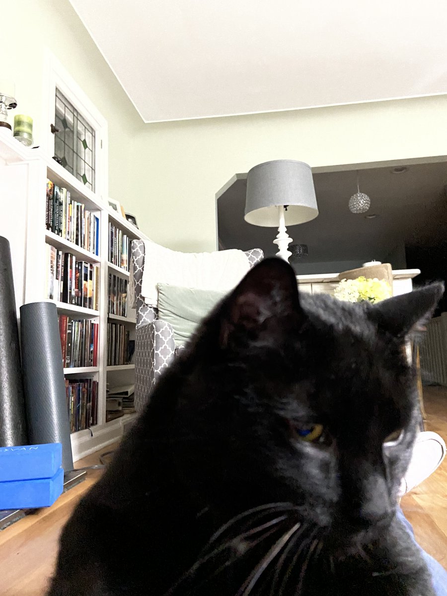 On my back, on the floor, meditating to GNR, when this happened.