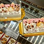 もったいなくて食べられない!可愛すぎる「ならびねこ」。
