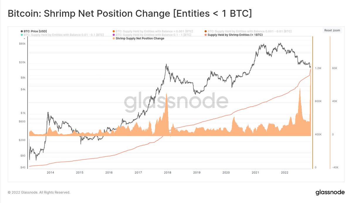 glassnode's tweet photo. #Bitcoin Shrimps (< 1$BTC) have added 96.2k $BTC to their holdings since FTX collapsed, an all-time high balance increase.

This cohort now now hold over 1.21M $BTC, equivalent to 6.3% of the circulating supply.

Pro Dashboard: https://t.co/HpXwoav6wO https://t.co/7U4oPAAakD