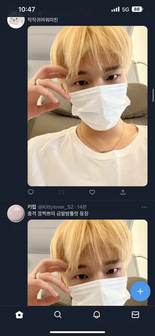 탐라가 노란 족제비로 물들었습니다 