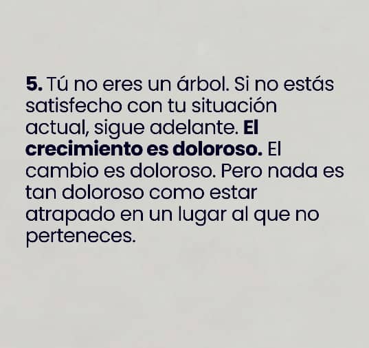 Kikevozmarcave's tweet photo. CRECIMIENTO 💪 https://t.co/lmrGCFP9UP