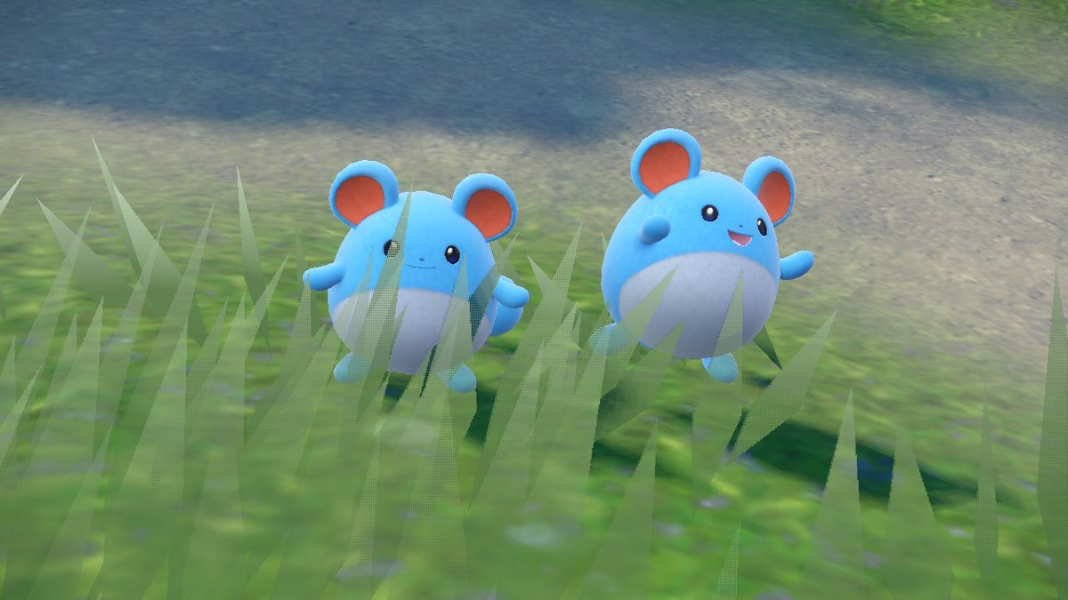 TinkatonLover's tweet photo. #PokemonScarletViolet #NintendoSwitch the cuties https://t.co/O2x9y8jlOp