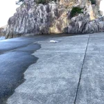 何か平たいモノが落ちてると思ったら、まさかのマンボウ!？