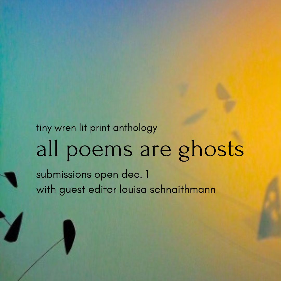 tinywrenlit's tweet photo. Heads up! #printanthology #tinywrenpublishing #tinypoems #metaphoricalghosts photo by @kip_knott https://t.co/6o3WundjCo