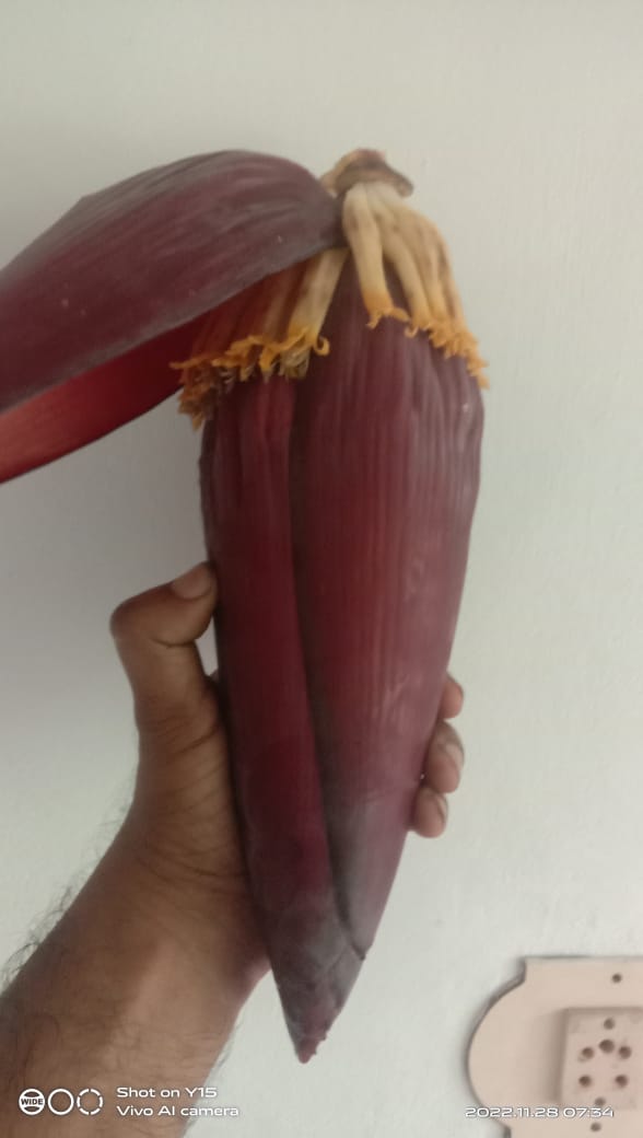 Ayurveda Monk, The Dr. 🩺🧘‍♂️🍀 on Twitter "RT josephseby78 