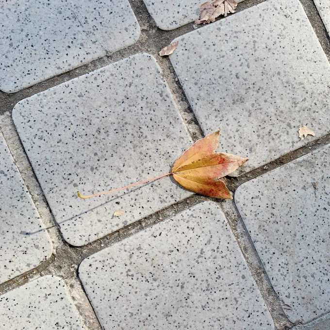 本日最初のお客様です 
