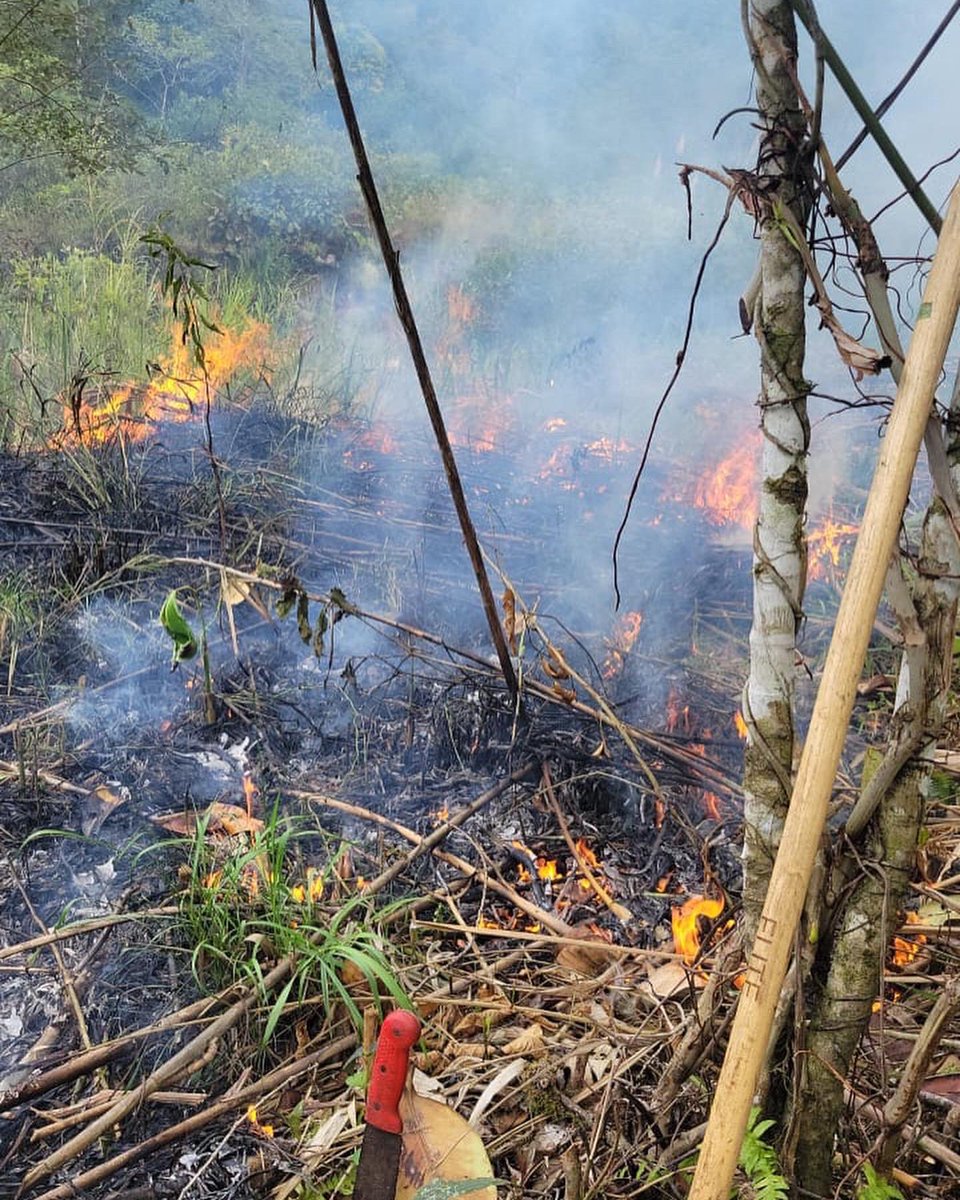 bomberoslosbanc's tweet photo. Personal del Cuerpo de Bomberos de los Bancos trabajó el día de hoy en el control y extinción de un incendio forestal, en Mindo sector Cinto bajo. #simprealserviciodelacomunidad https://t.co/QHtUrh3oKk
