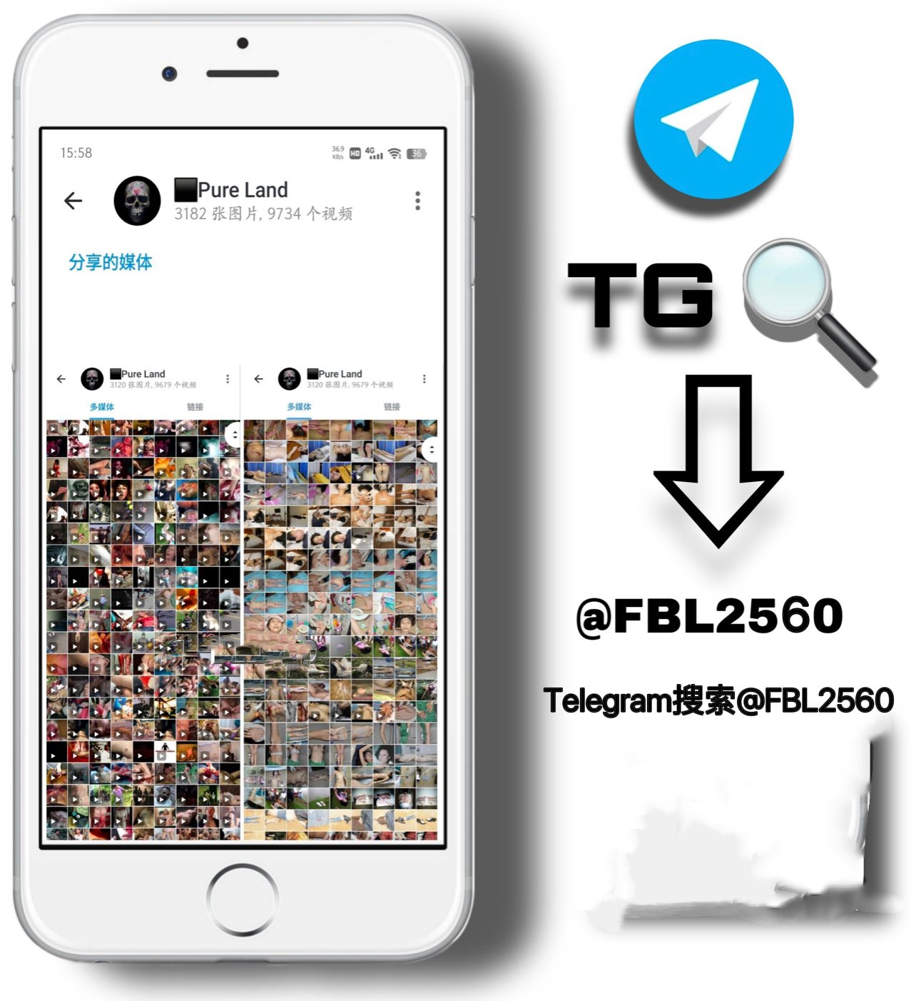 FBL2560 (@zs37407522)  X