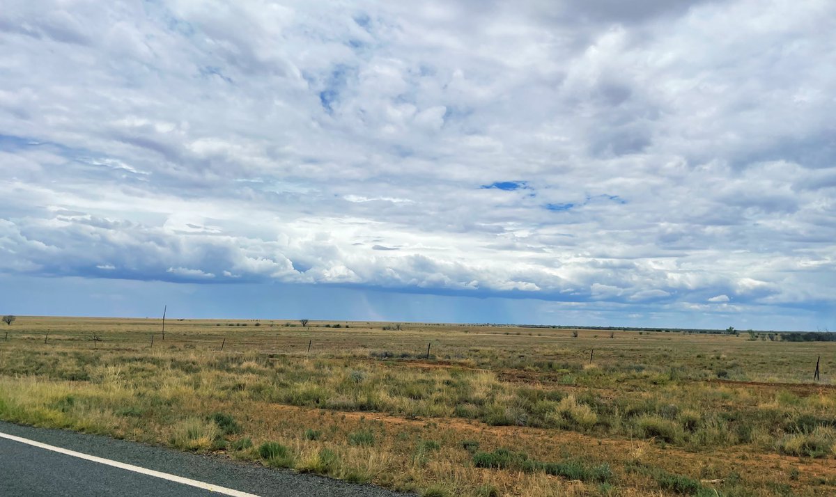 Matt Brann tweet media