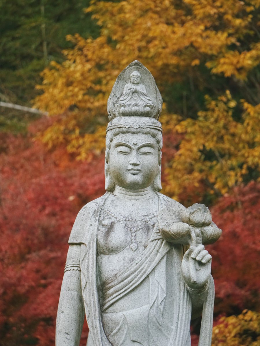丹波篠山での撮影のわたしのお気に入り

youtu.be/quoX_naCMQ4【YouTube】