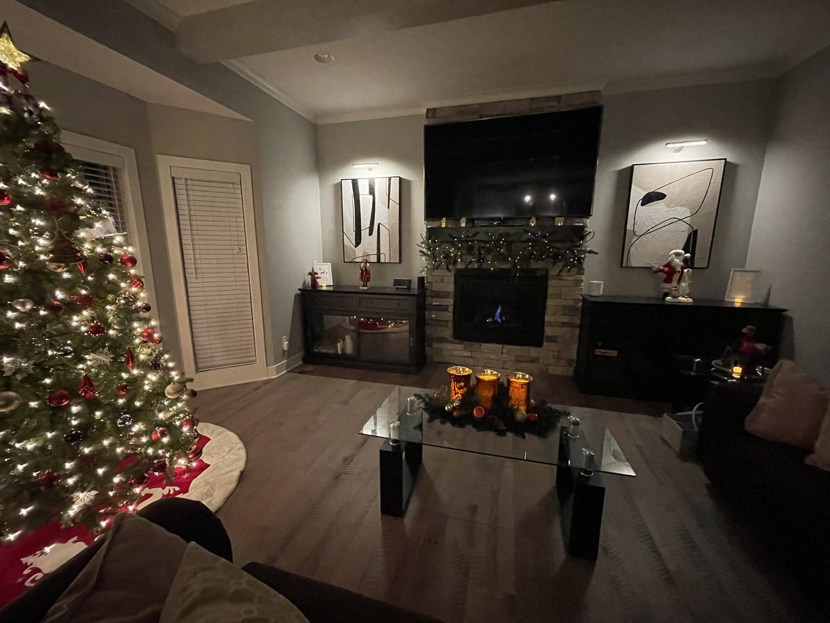 vikonava's tweet photo. And my favorite thing on the living room is…. My #OdinHandheld right there https://t.co/NTow2ijkDR
